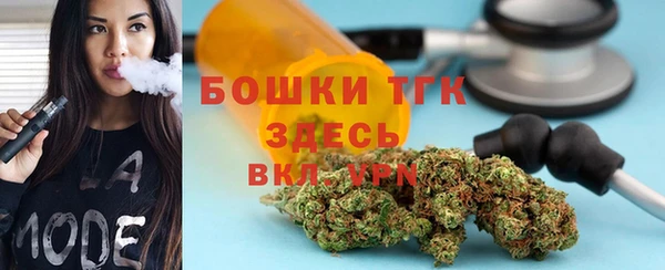 стафф Новодвинск
