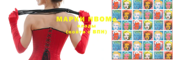 стафф Новодвинск