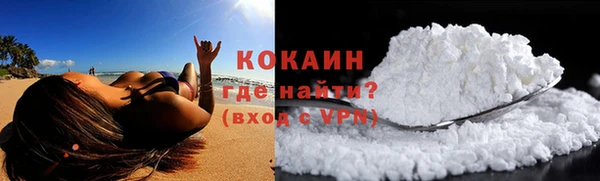 стафф Новодвинск