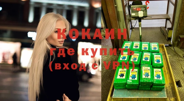 стафф Новодвинск