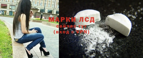 стафф Новодвинск