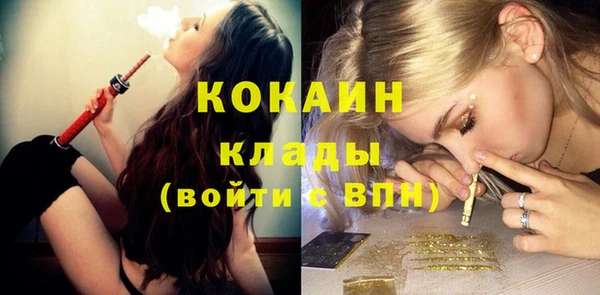стафф Новодвинск